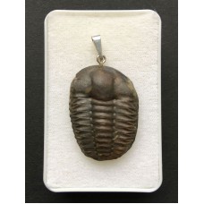 Přívěšek z trilobita